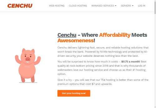 Cenchu Hosting Review: Affordable Web Hosting with NVMe-Powered Solutions