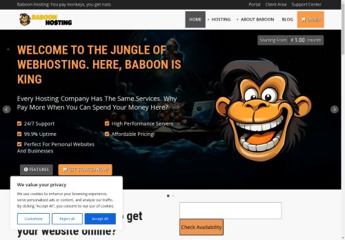 BaboonHosting Review 2025: Affordable Netherlands Web Hosting