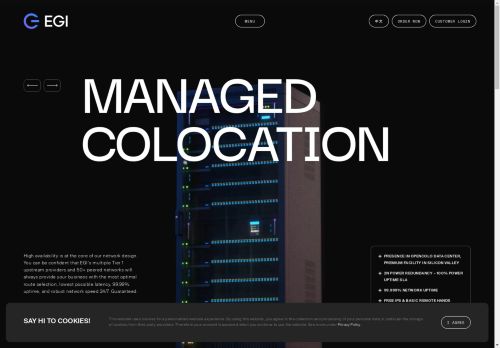 EGI Hosting Review: Enterprise-Grade Infrastructure Solutions